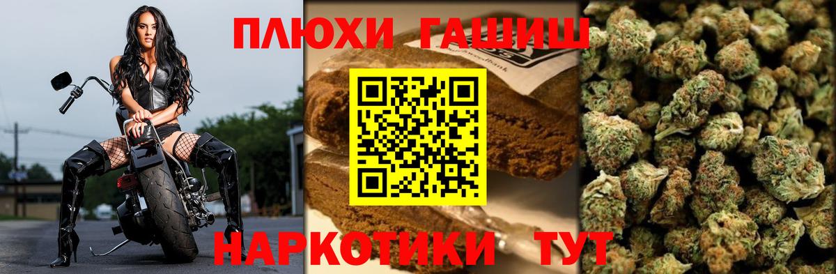 ГАШ Ice-O-Lator Калининград