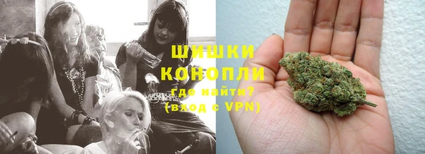 индика Медвежьегорск