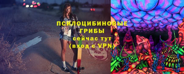 2c-b Михайлов