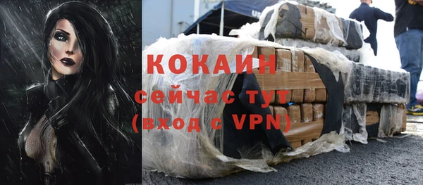твердый Михайловск