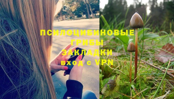 COCAINE Осинники