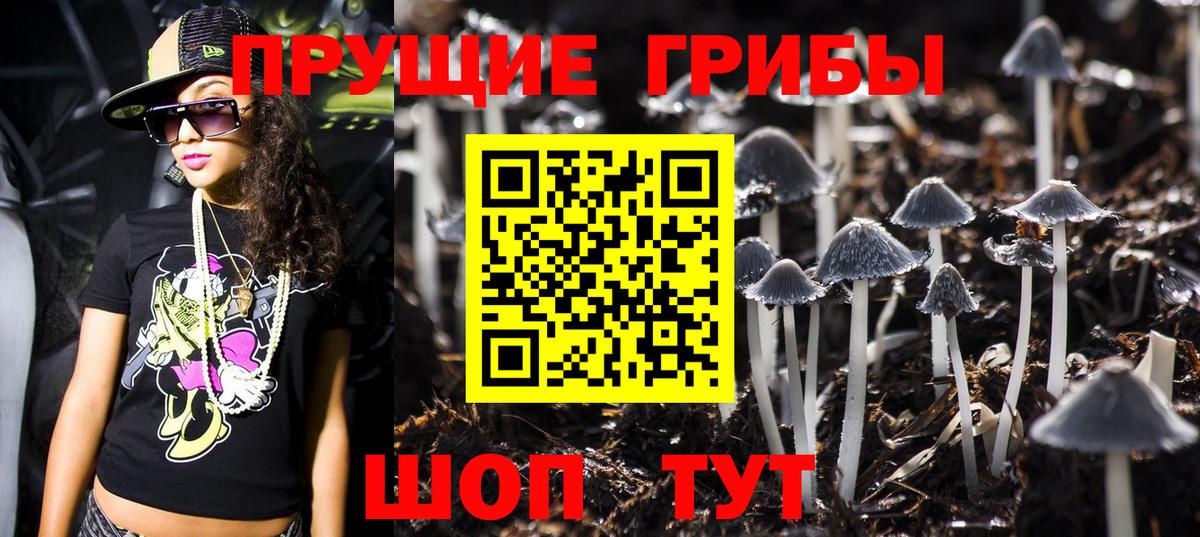 Галлюциногенные грибы Magic Shrooms Калининград
