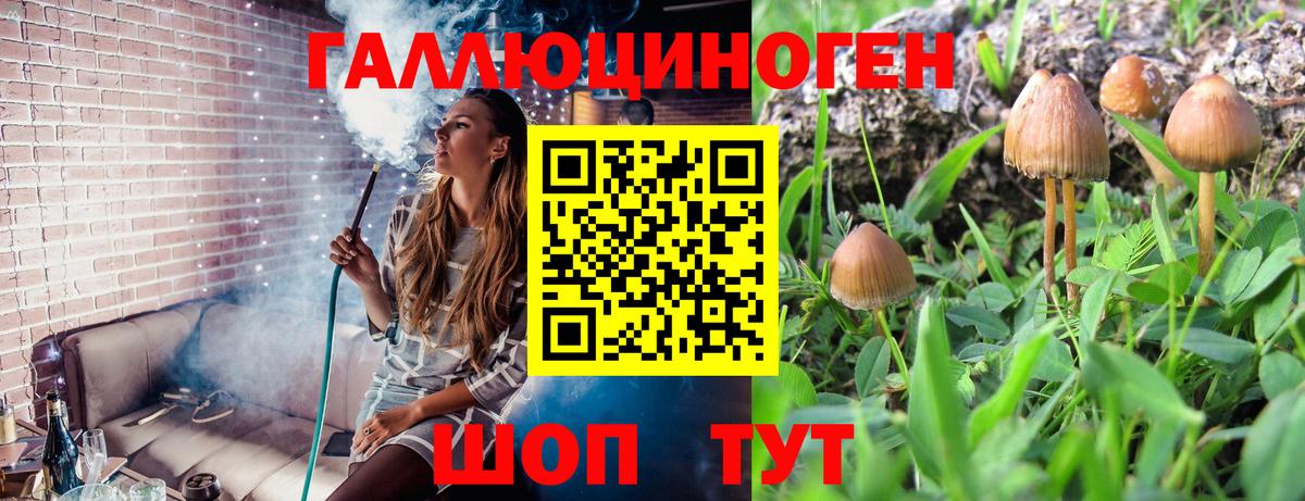 Псилоцибиновые грибы Magic Shrooms Калининград