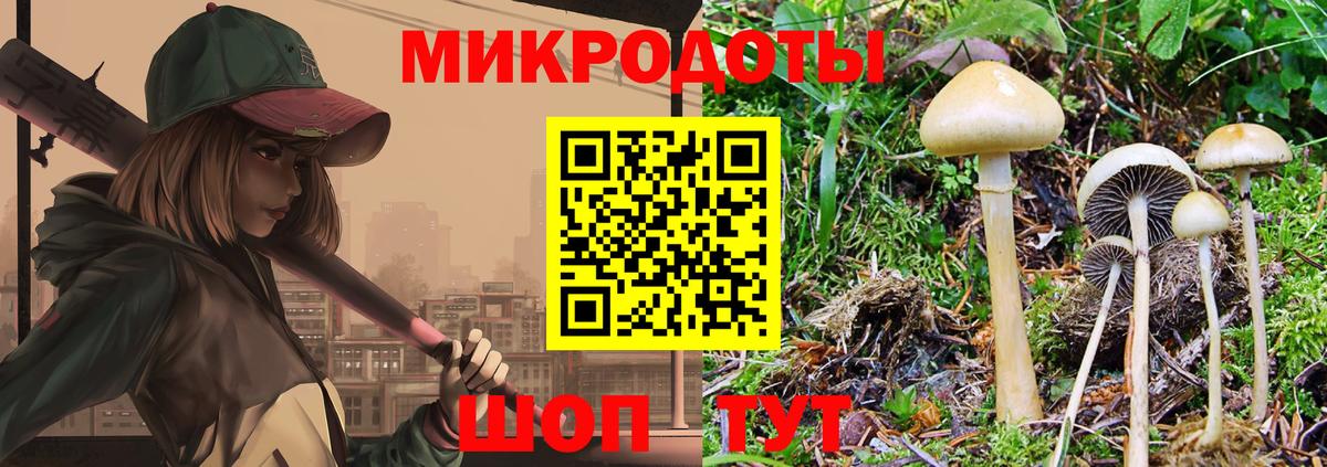 Галлюциногенные грибы Magic Shrooms  Вход с VPN  Псилоцибиновые грибы мицелий  Калининград 