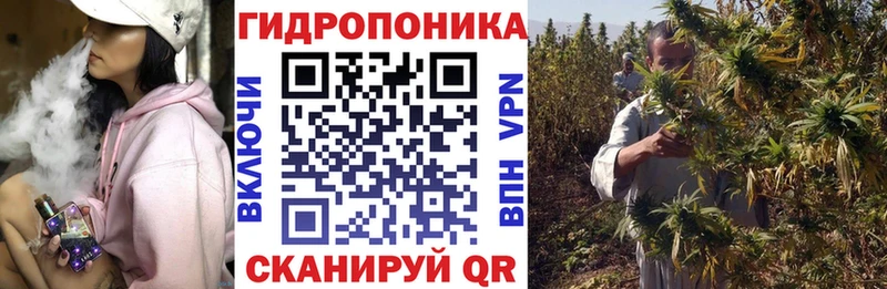 Канабис Amnesia Калининград