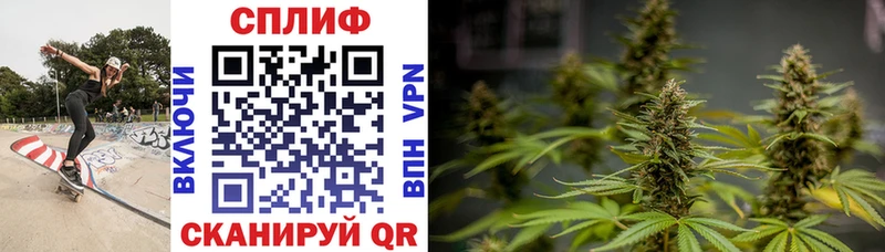 Бошки марихуана Bruce Banner  MEGA ссылки  Калининград 